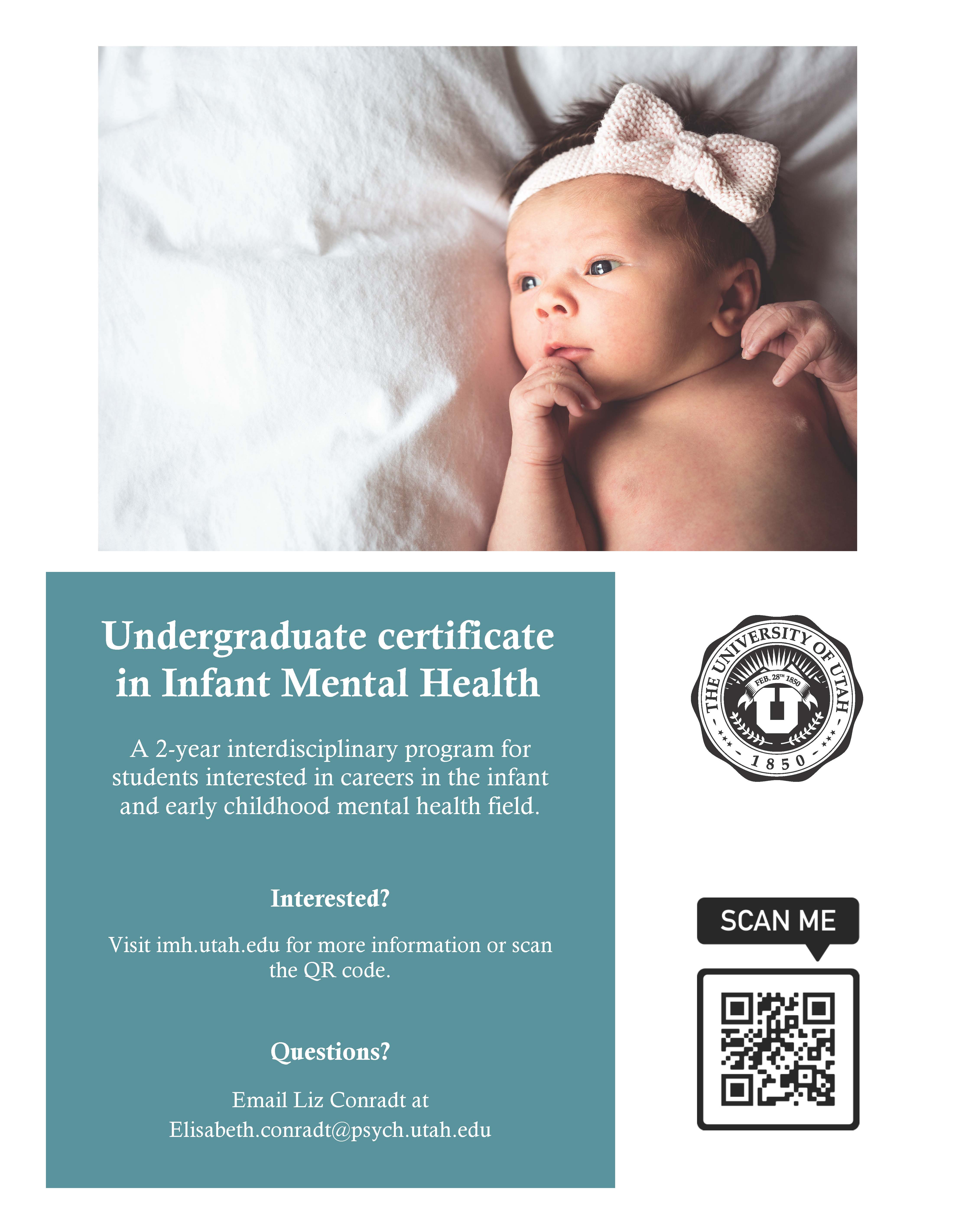 infant mental health certificate